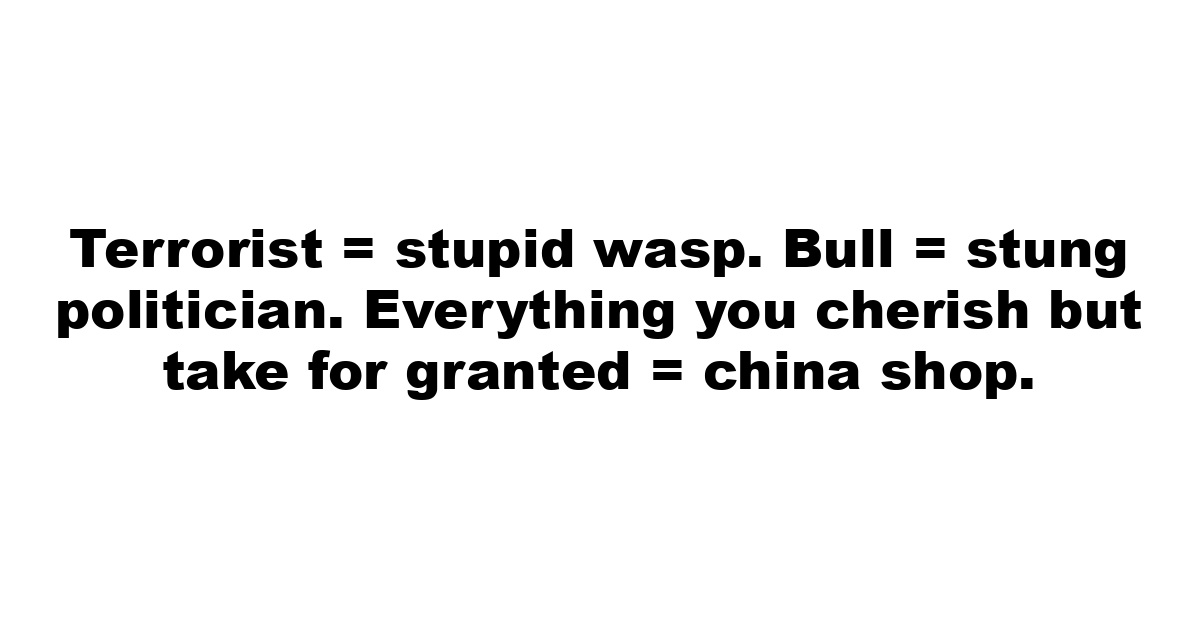 Terrorist = stupid wasp. Bull = stung politician. Everything you cherish but take for granted = china shop. 